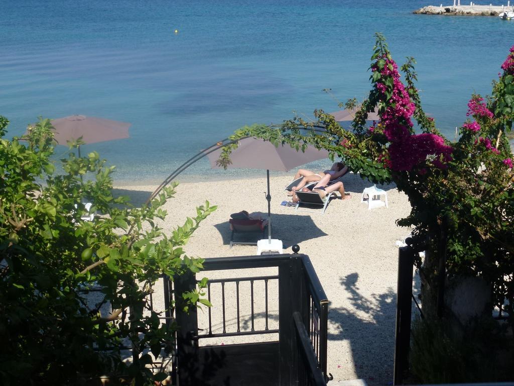 Galini Sea Benitses (Corfu)